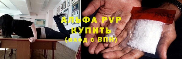 не бодяженный Бородино