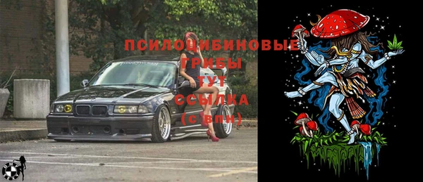 гидра Верея