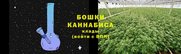 не бодяженный Бородино