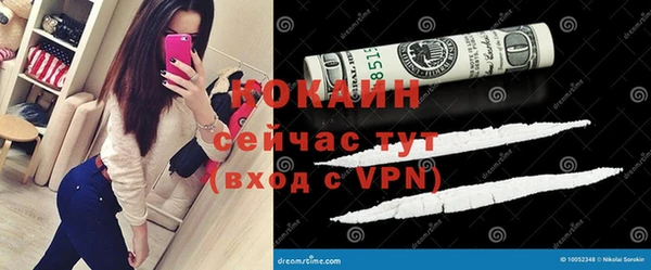 гидра Верея